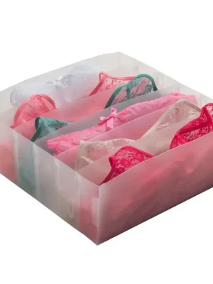 Bezpečná Platba Transparentní organizer do zásuvky na spodní prádlo Compactor Optimo, 6 přihrádek