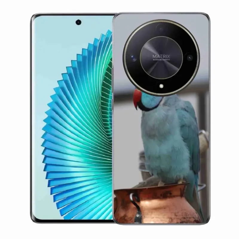 Super Cena Gelový kryt mmCase na Honor Magic 6 Lite 5G - papoušek alexandr modrý