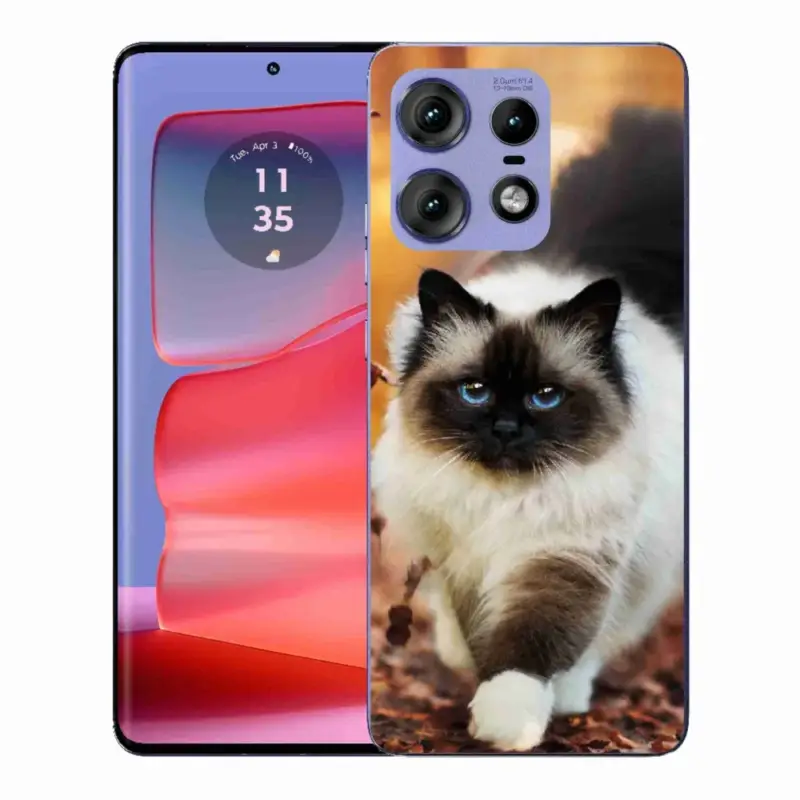 Zlevněný Gelový kryt mmCase na Motorola Edge 50 Pro - kočka