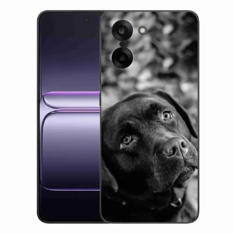 Značkový Gelový kryt mmCase na One Plus Nord CE5 - labrador
